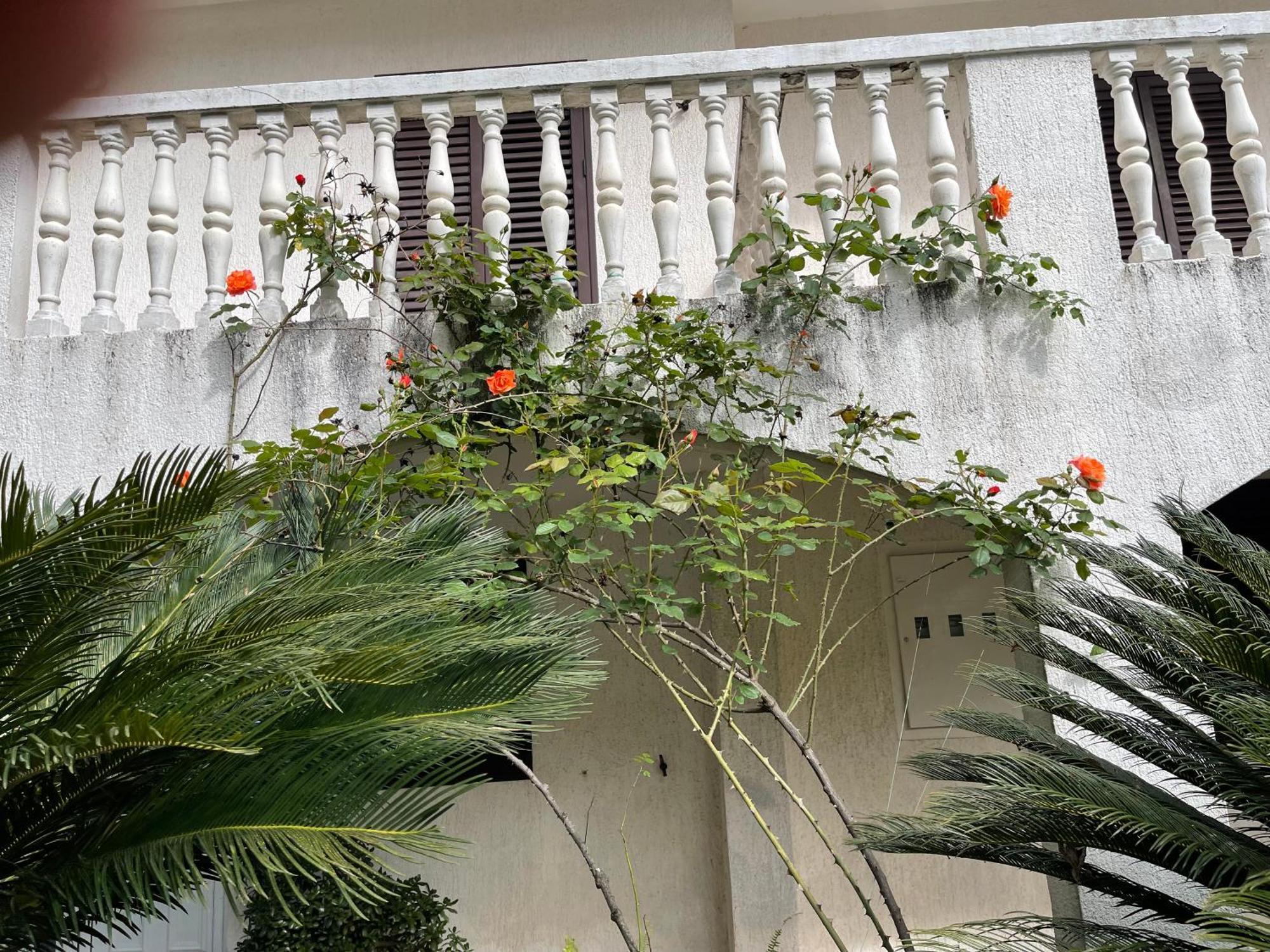 Hotel House Irena Budva Zewnętrze zdjęcie